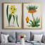 Antique Floral Folio VI - Ensemble de 2 reproductions d'art sur toile encadrées-1392765445-1392765444