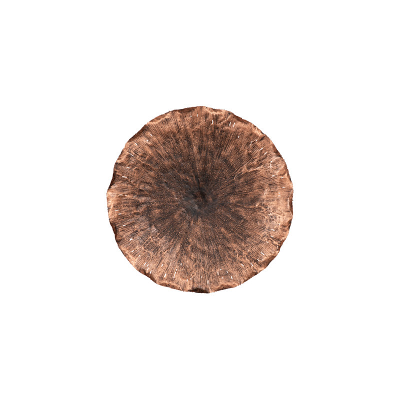 Lotus Wall Décor, Copper, 28" H x 28" W x 5" D
