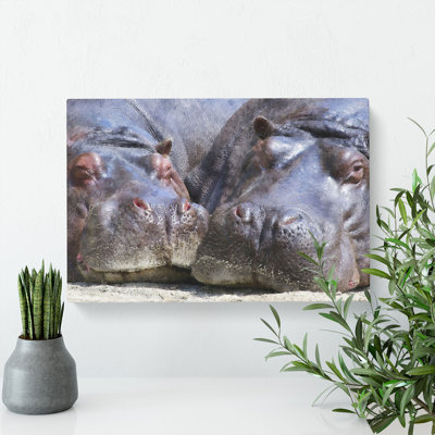 Two Hippos - Wrapped Canvas Print