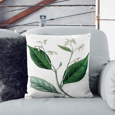 Gum Benjamin Tree Illustration Cushion with Filling
