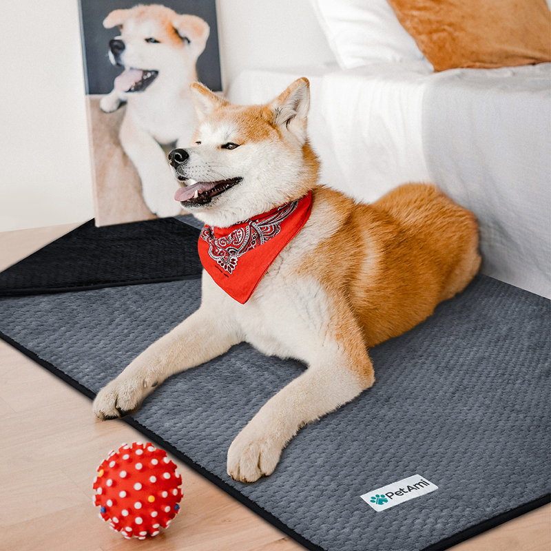 Large Black and Gray Waterproof Fleece Pet Blanket