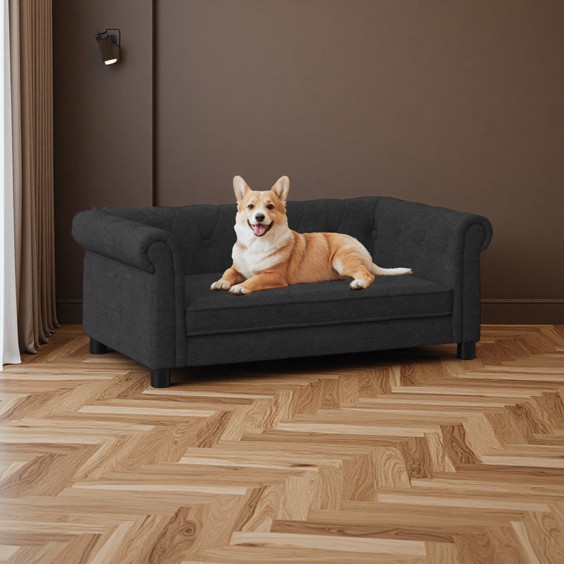 Élégant lit pour animaux de compagnie rectangulaire pour petits et moyens chiens, canapé-lit surélevé durable, canapé pour chien confortable, canapé pour chien en lin moderne et tendance
