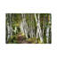 1 Piece Wall Art on Canvas-56733377-69997778-101344044