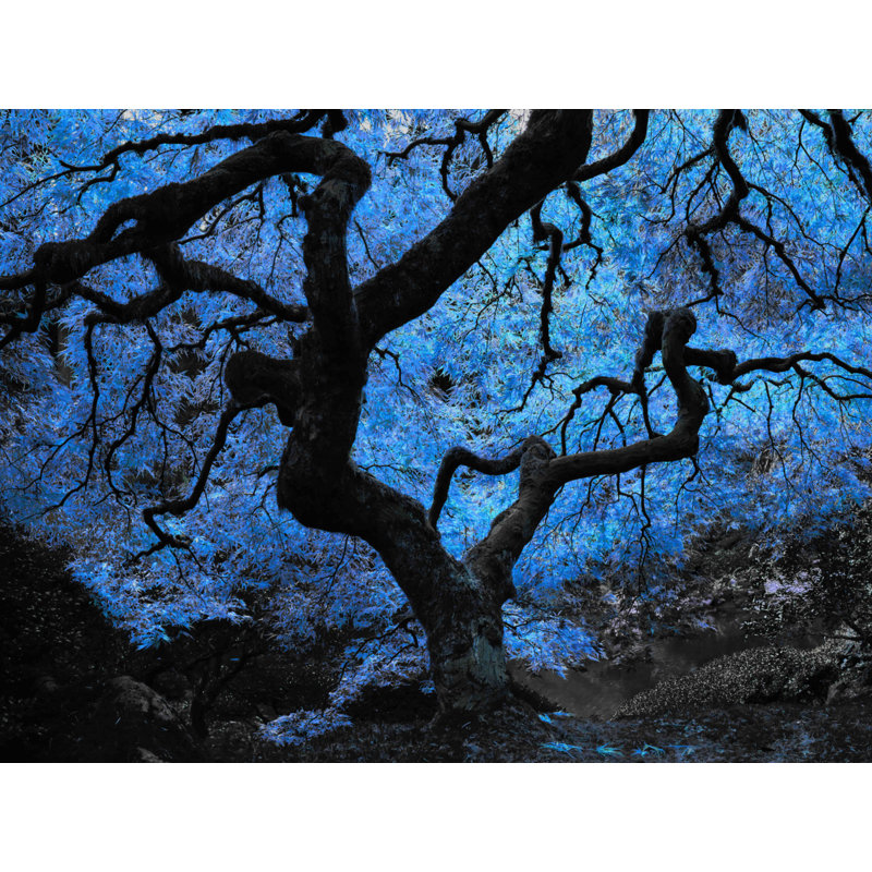Décalcomanie murale amovible arbre d’érable japonaise, H 14 po x l 18 po, Bleu givré