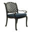 Annecorinne Premium All-Weather Wicker Outdoor Dining Armchair with Cushion-1328022-115989795