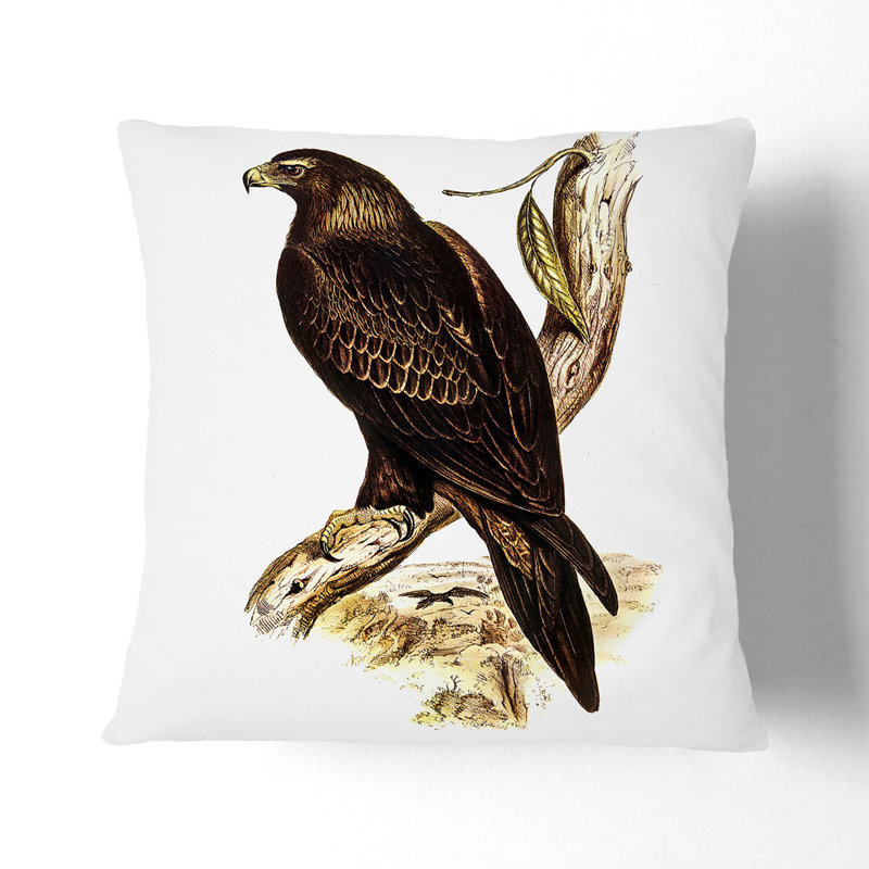 Square Cushion, Black, 55cm H x 55cm W x 20cm D