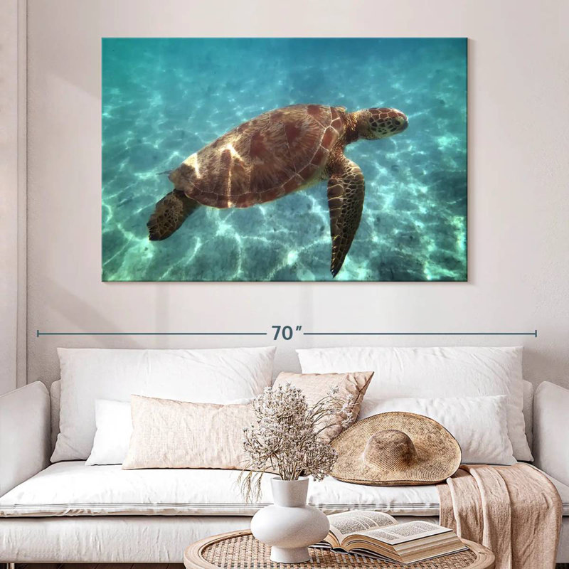 Brampt Endangered Hawksbill Turtle