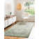 Alresford Oriental Indoor Rug