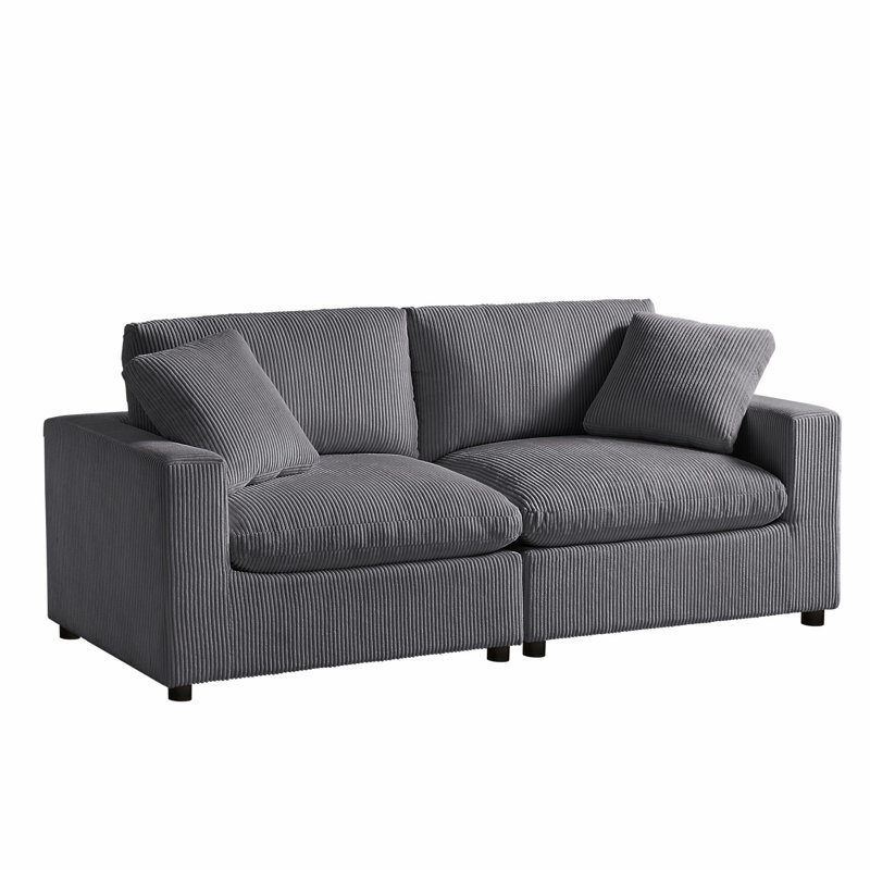 Simple Style Sofa, 2-seat Sofa with Removable Cushion Covers