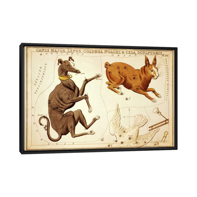 «Canis Major, Lepus, Columba Noachi et Cela Sculptoris» par Sidney Hall, impression sur toile, H 32 po x l 48 po x P 1,5 po