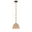 Luminaire suspendu 1 lumière Cordón