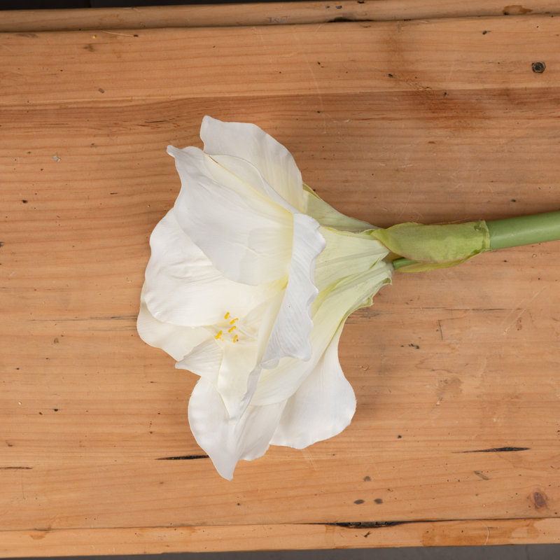Arrangement, White