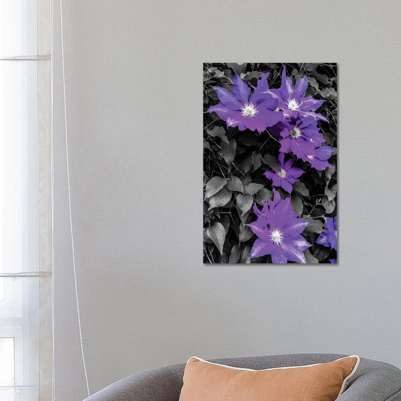 Purple And Grey Clematis by Heidi Bannon - Wrapped Canvas Print