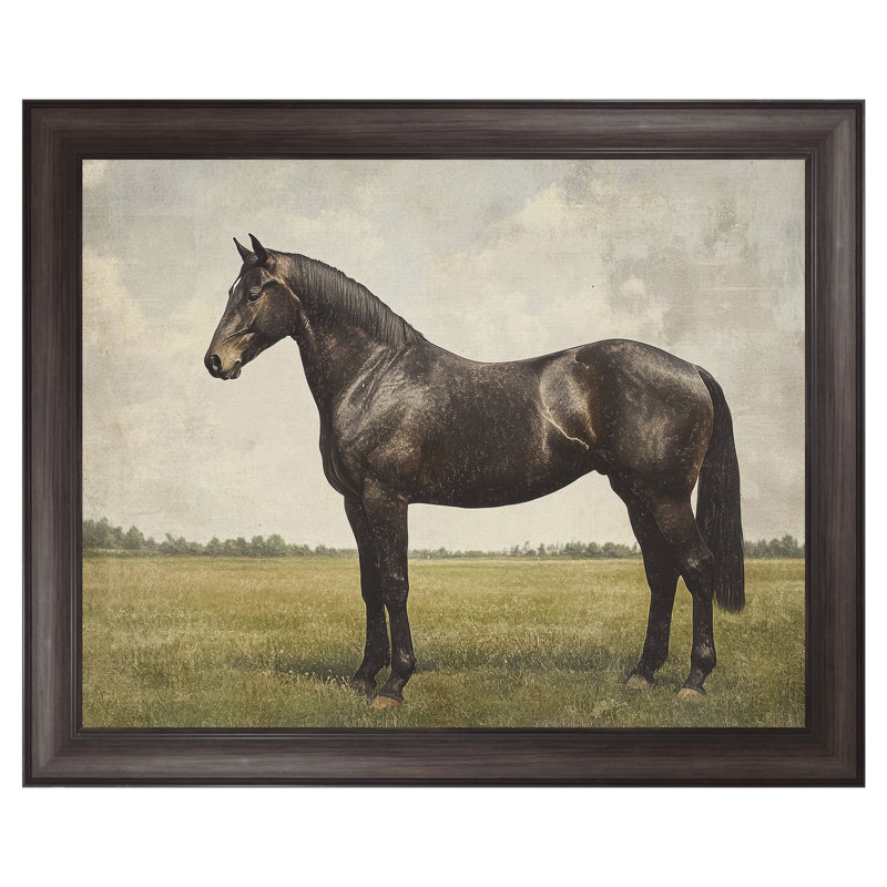 Expresso Horse