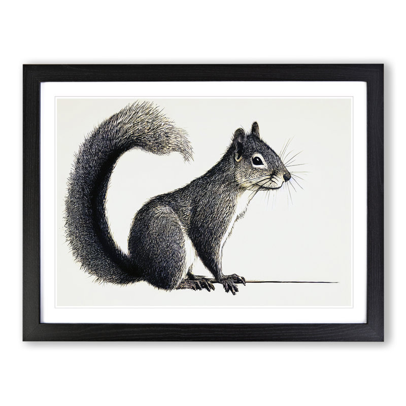 A Pleasant Squirrel - Single Picture Frame Print, Black Framed, 46cm H x 64cm W x 2cm D