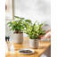HDHPOT Ceramic Pot Planter-1607730067