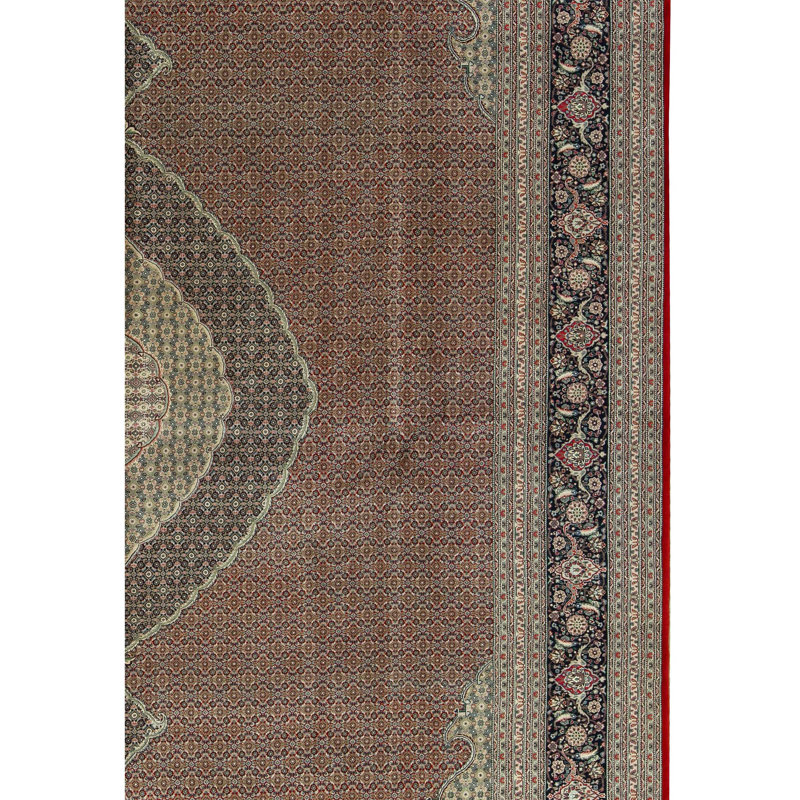 Shah Wool Oriental Area Rug