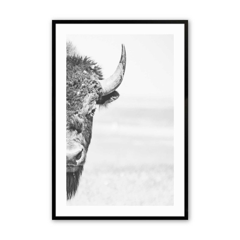 Imprimé Wild Stare, H 11 po x l 9 po x P 1,25 po, Cadre noir satiné