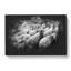 Flock of Sheep Vol.1 - Wrapped Canvas-61881436