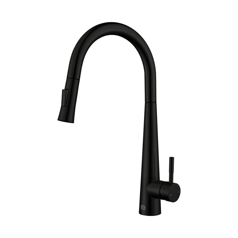 Elegant Home Living Lucas Pull Down Spray Kitchen Faucet, Matte Black