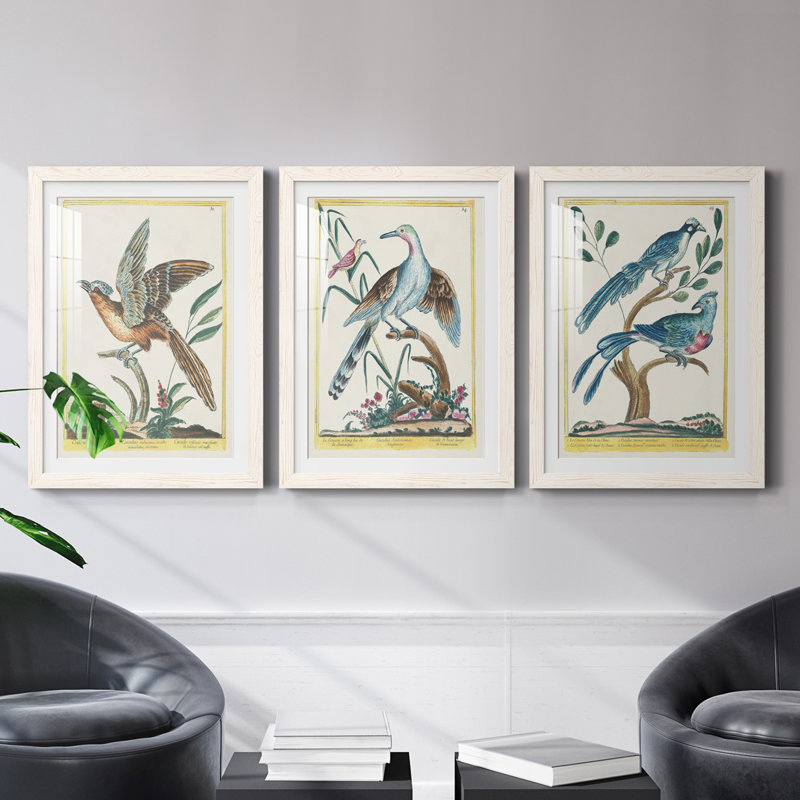 Cadre Pastel Birds IV Premium - prêt à accrocher, H 20 po x l 51 po x P 1,5 po, Blanc