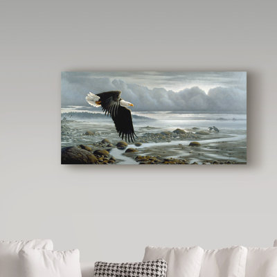 Berrien 'Low Tide Bald Eagle' Graphic Art Print on Wrapped Canvas