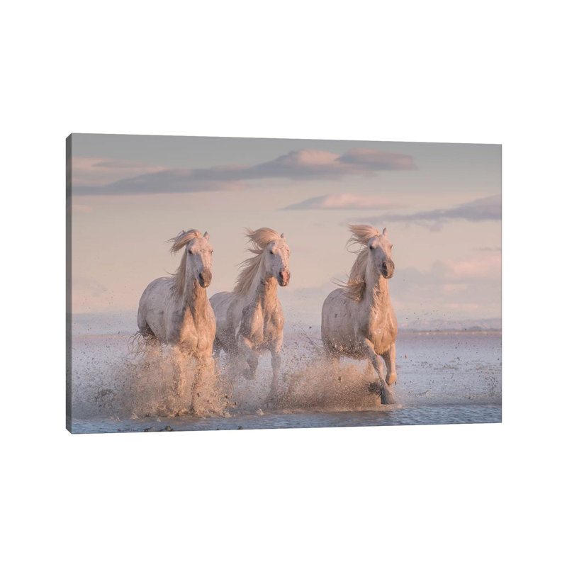 White Angels Of Camargue XXXVI by Daniel Kordan - Wrapped Canvas Print, 20.32 cm H x 30.48 cm W