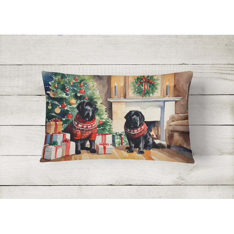 Other/No Pattern Outdoor Throw Pillow