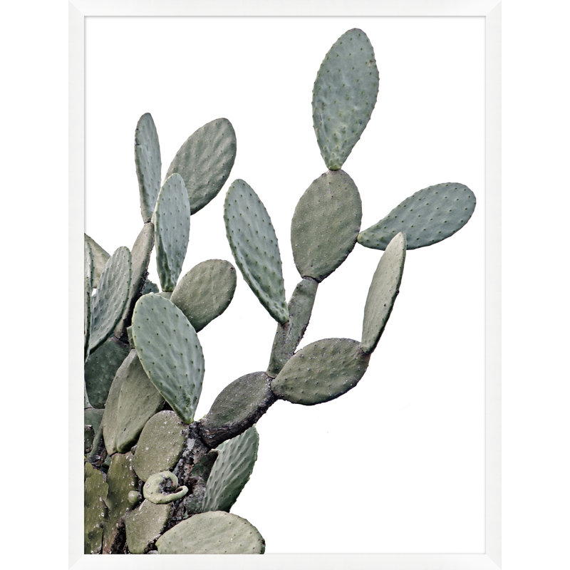 Cacti On White 2 Print by Nathan Turner