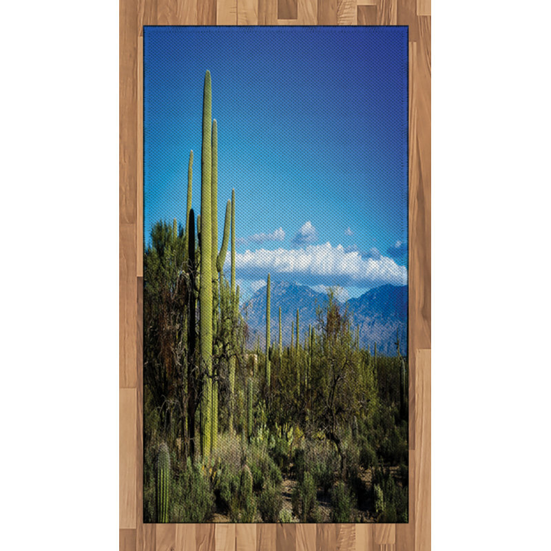 Desert High Density Long Fiber Poly Threads Decorative Area Rug Carpet, Rectangle 2'7" x 5'