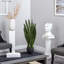 Sansevieria avec jardinière noire et jardin de 4 pi Palmier Golden Cane