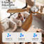  52" Modern Smart Ceiling Fan With Light, 6-speed Quiet Dc Motor & 3-colour Led，remote Control With Timer，sakuragi-1996088066-1996088067