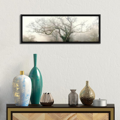 " Panoramic Octopus Ghost Oak " by Philippe Manguin