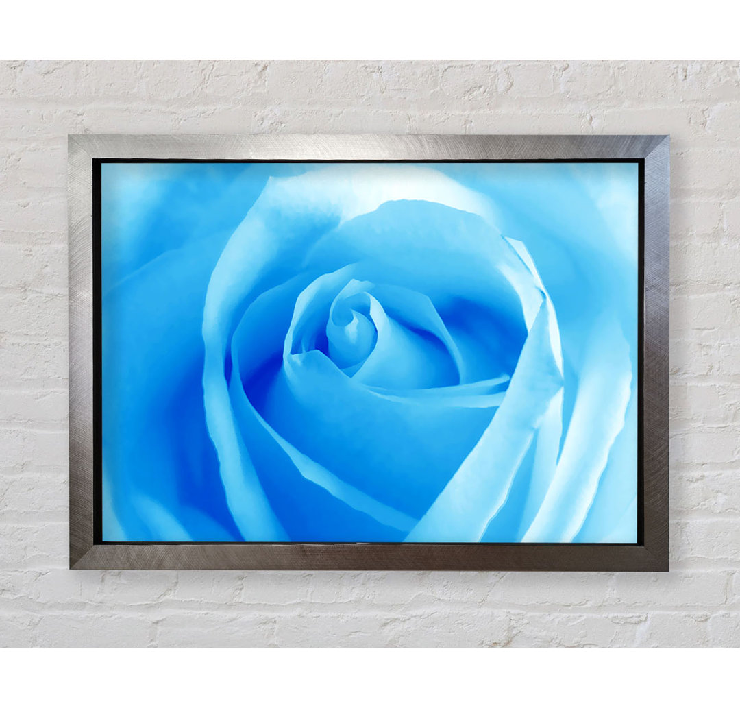 Baby Blue Rose - Einzelner Bilderrahmen Kunstdrucke