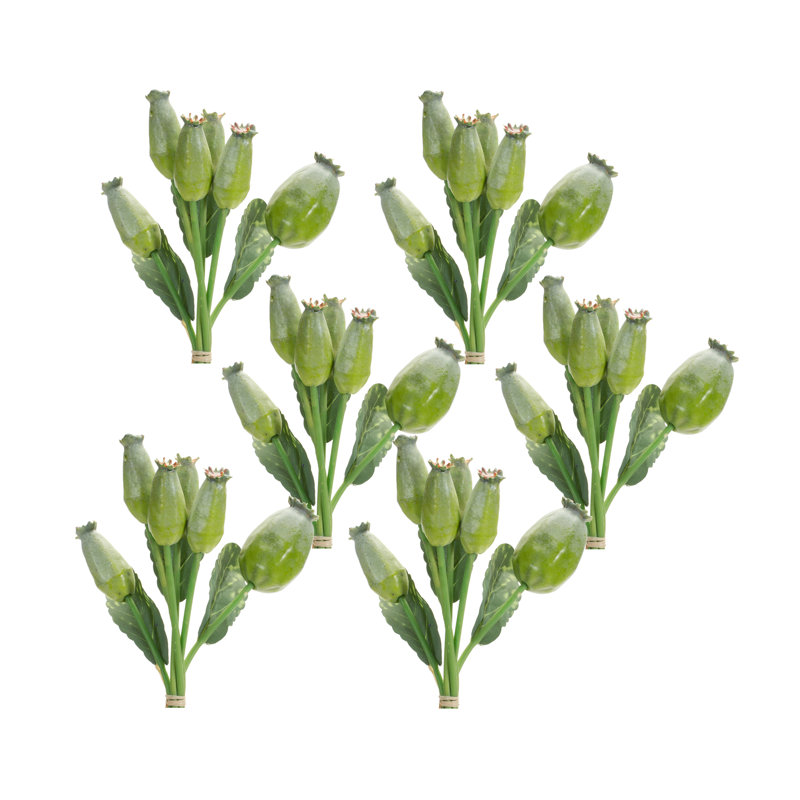 Poppy Steam