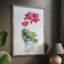 «Soft Geranium II», reproduction encadrée - bois massif 47617-1516175871