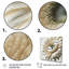 Gerbera blanche III - art mural Gerbera-86828667-86828672