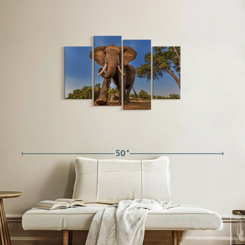 Playful African Elephant, 22" H x 36" W