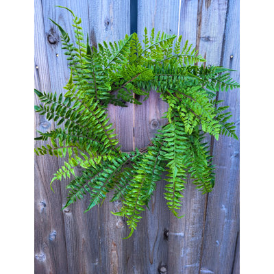 Faux Fern 24'' Wreath