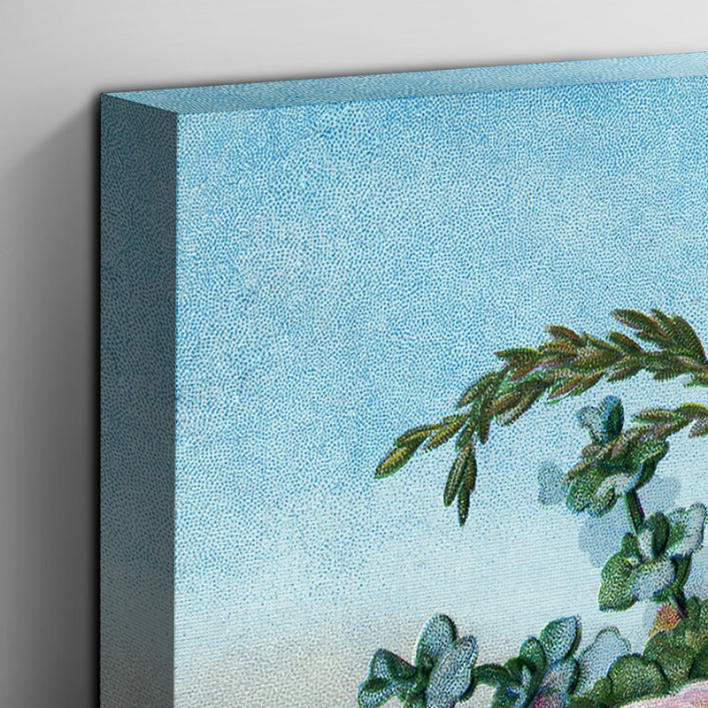 Vintage Floral Pink Roses - Wrapped Canvas, 35cm H x 50cm W