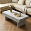 Table basse avec plateau en bois gris