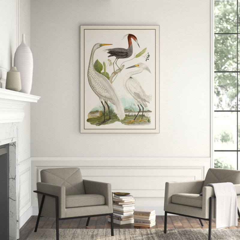 Trio Comparison' Framed Print on Glass