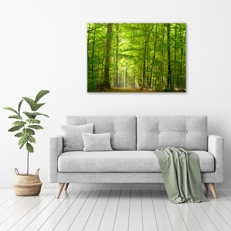 Deciduous Forest - Wrapped Canvas Print