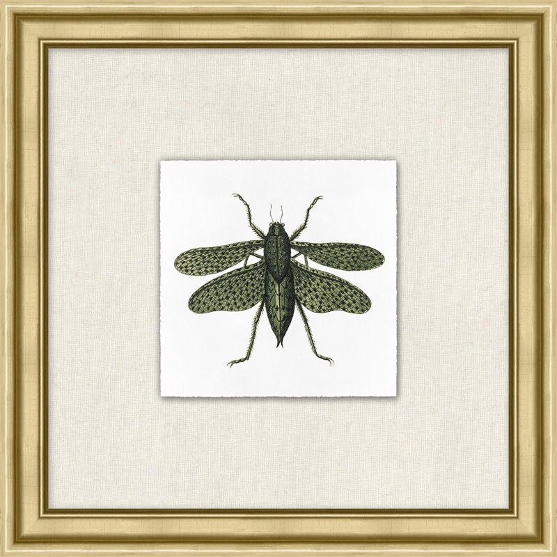Flying Specimen 3 Print by Lillian August