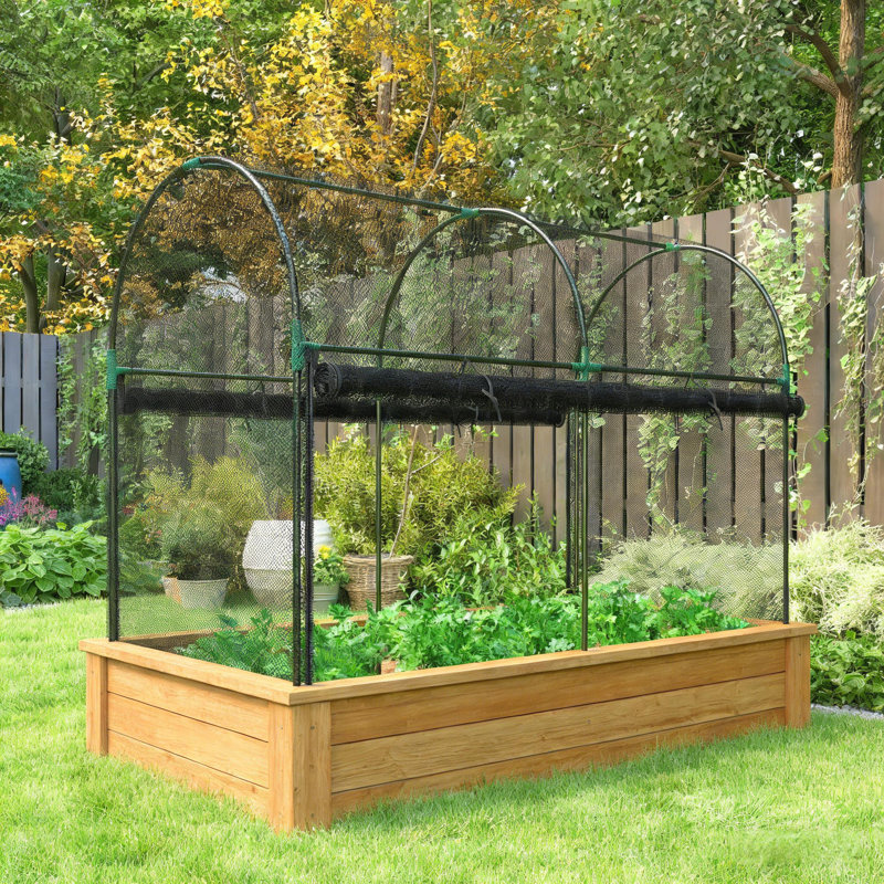 Spacious Plant Cage With HDPE Mesh Cover, Ideal For Tall Vegetables And Climbing Crops Protection, Black
