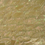 2'' x 2'' Ceramic Decorative Accent Tile