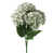 White selected