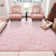 Pink Shag Rugs for Living Room, Non-Slip Area Rugs for Nursery Kids Playroom Dorm Office, Indoor Modern Plush Shag Carpets