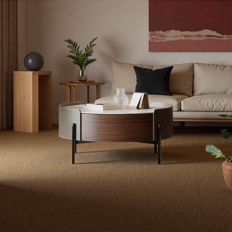 Table basse de style italien minimaliste