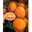 Oranges fraîches - imprimé alimentaire hyperréaliste | Décoration intérieure-121073000